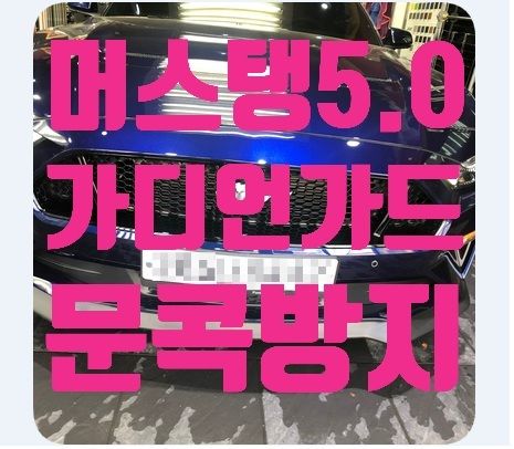 머스탱5.0 가디언가드 문콕방지