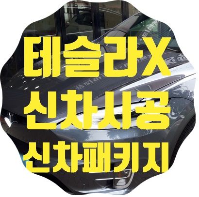 테슬라X 신차패키지 T3
