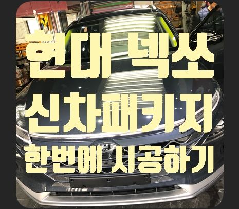 현대 넥쏘 신차패키지 시공
