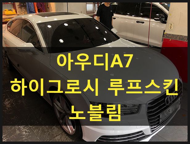 아우디A7 루프스킨 [노블림 하이그로시]