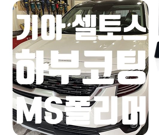 셀토스 하부코팅 [MS폴리머 언더코팅]