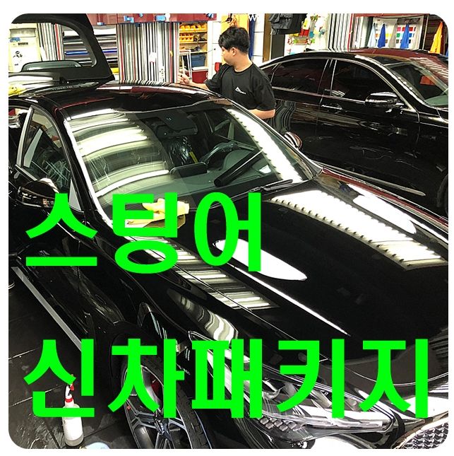 기아 스팅어 신차패키지