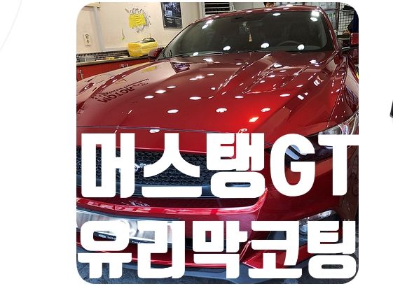 포드 머스탱GT 광택 / 유리막코팅