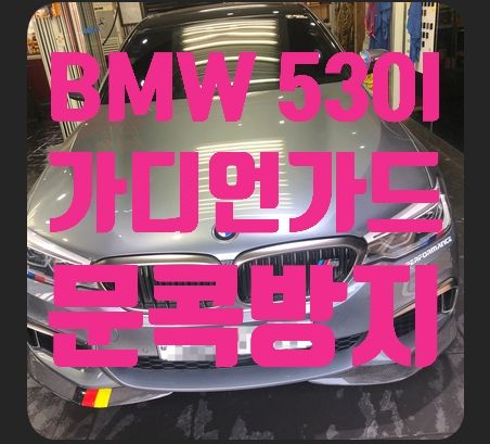 BMW 530i 가디언가드(문콕방지)