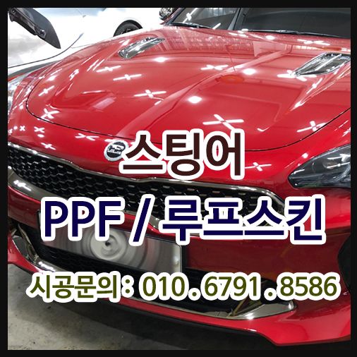 스팅어 PPF / 루프스킨