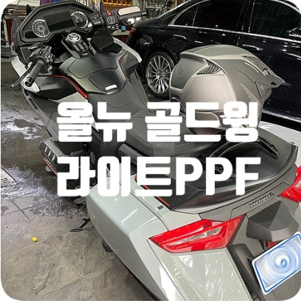 혼다 올뉴 골드윙 [헤드라이트 PPF]