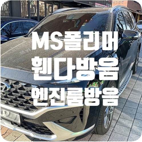 싼타페TM 언더코팅/엔진룸 방음 [시카가드 MS폴리머]