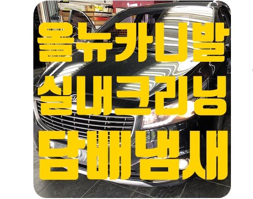 올뉴카니발 실내크리닝