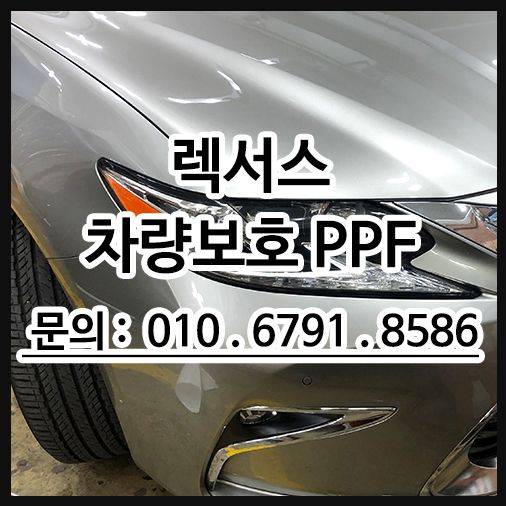 렉서스 범퍼 PPF  보험처리