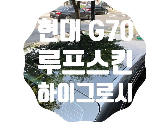 G70 루프스킨 [노블림 하이그로시 자가복원]