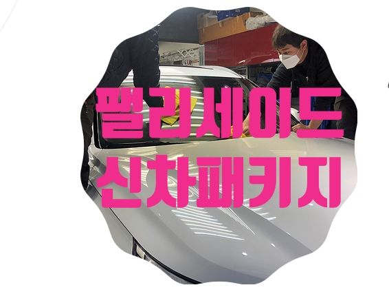 팰리세이드 신차패키지 