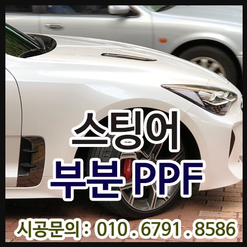 스팅어 PPF 시공