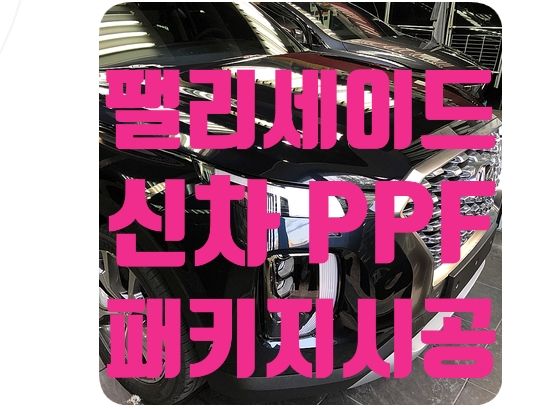 팰리세이드 신차PPF [나노커버 울트라쉴드]
