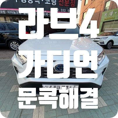 라브4 가디언 도어가드
