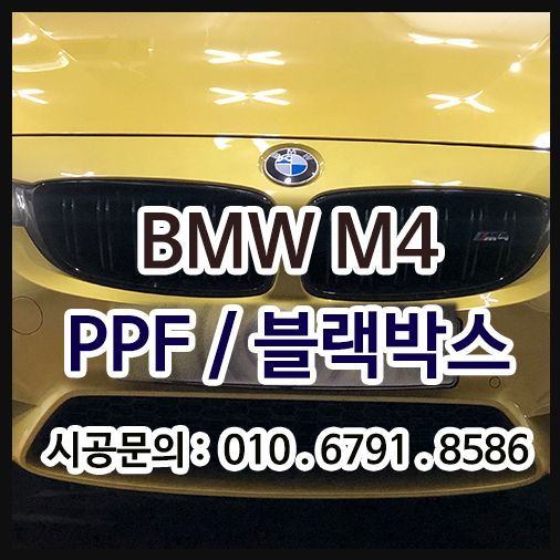 BMW M4 프론트PPF 및 GX2000