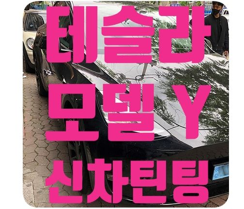 테슬라 모델Y 신차썬팅 [SKC 마스터즈/스페셜플러스]