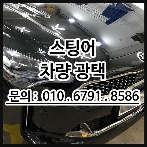 스팅어수성고광택