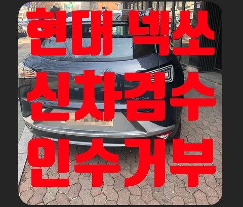 넥쏘 신차검수 인수거부
