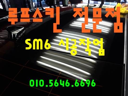 SM6 루프스킨 시공작업