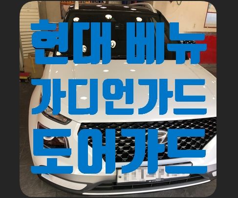 현대 베뉴 가디언가드 도어가드 (문콕방지)