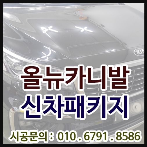 카니발 신차패키지 S1 시공