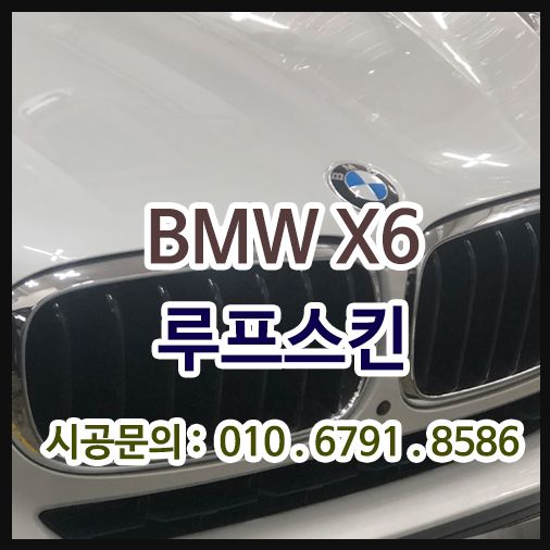 BMW X6 노블림 하이그로시 루프스킨