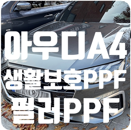 아우디A4 생활보호PPF/필러PPF