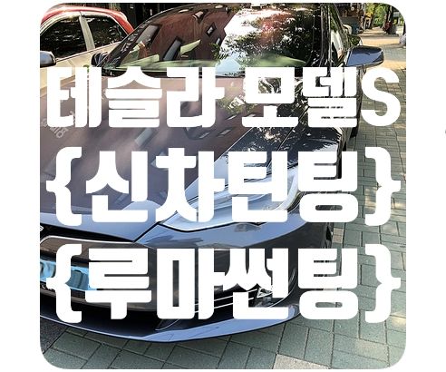 테슬라 모델3 신차틴팅 [루마썬팅]