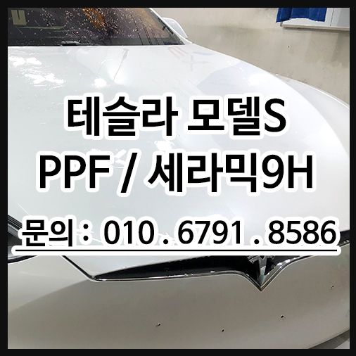 테슬라 범퍼PPF 보험처리