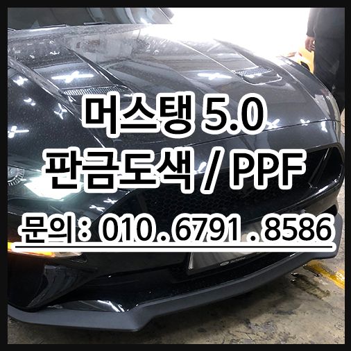 머스탱 GT PPF시공