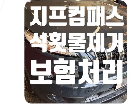 지프 컴패스 석회물제거 [보험처리]