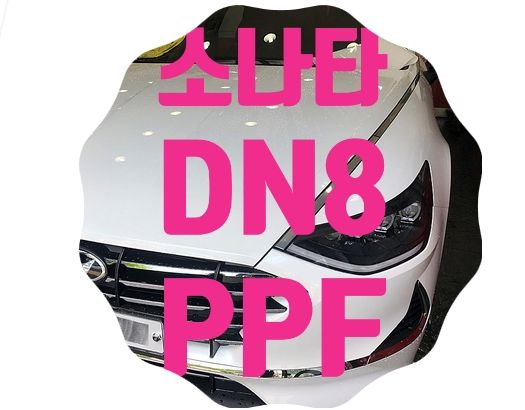 소나타 DN8 PPF B형 [나노커버 울트라쉴드]