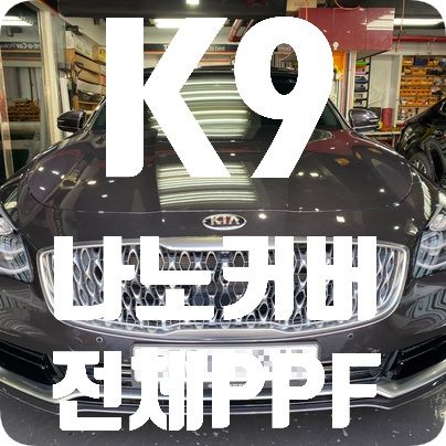 K9 전체 PPF