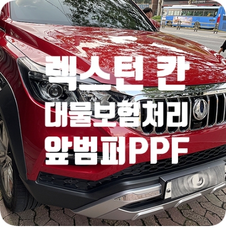 렉스턴 칸 앞범퍼 PPF [보험처리]