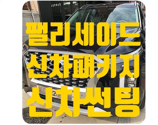 팰리세이드 신차썬팅 [루마썬팅]