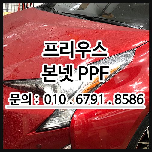 프리우스 PPF 시공