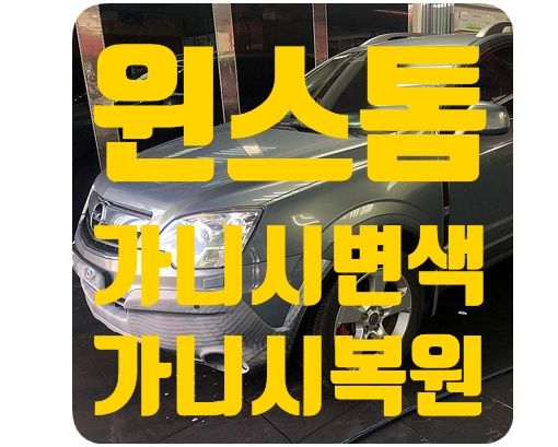 윈스톰 맥스 가니시복원 [플라스틱 복원]