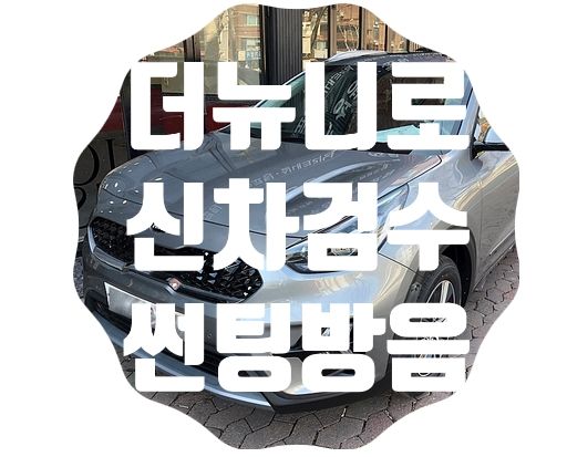 더뉴 니로 신차검수 [썬팅/방음]
