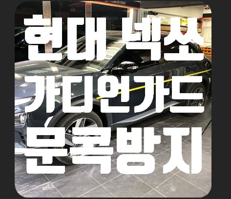 현대 넥쏘 가디언가드 시공(문콕방지)
