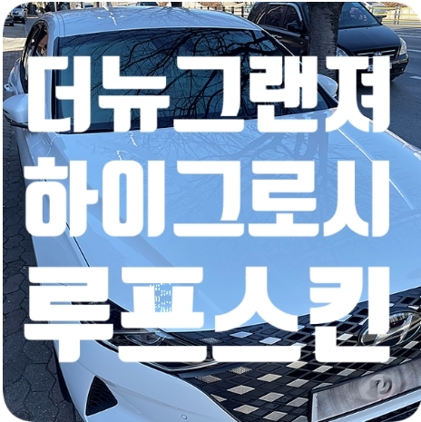 더뉴그랜져 하이그로시 루프스킨 [노블림]