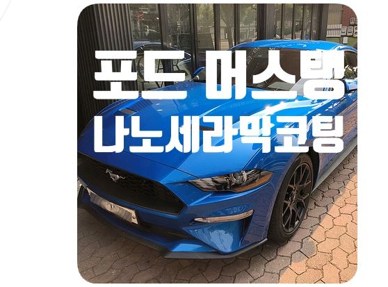 포드 머스탱 나노세라믹코팅 [나노세라믹테크]
