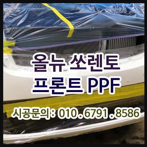 전면보호 PPF 시공 올뉴쏘렌토