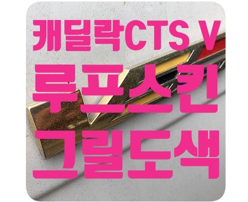 캐딜락CTS V 루프스킨/프론트그릴 도색