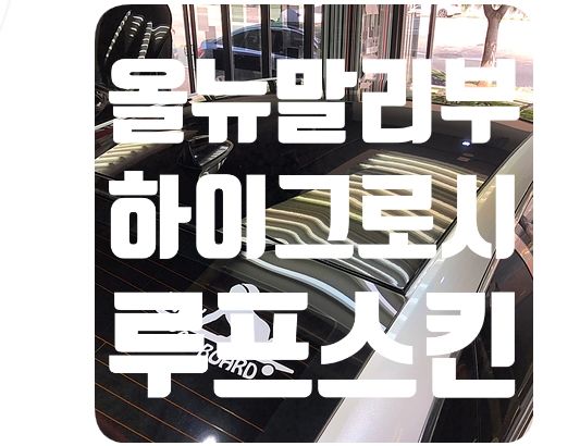 올뉴말리부 루프스킨 [노블림 하이그로시]